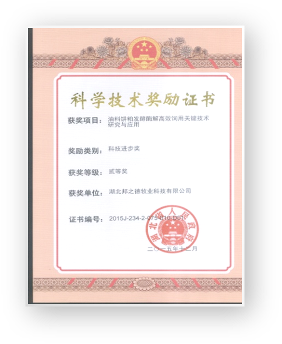 湖北省科技进步二等奖